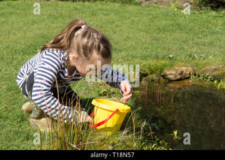 Giovane ragazza di immersione laghetto in giardino wildlife pond rimozione girini nei bambini la benna, sette anni. Regno Unito. Marzo. Foto Stock