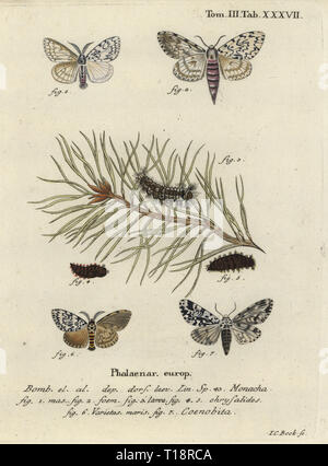 Archi nero o nun tarma Lymantria monacha 1-6, e owlet tarma Panthea variabilis 7. Monacha Phalaena, Phalaena variabilis. Handcolored incisione su rame di Johann Carl Bock da Eugenio Johann Christoph Esper Die Schmetterlinge in Abbildungen nach der Natur, Erlangen, 1786. Foto Stock