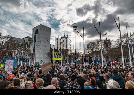 London, Regno Unito - 23 Marzo 2019: un milione di persone si sono radunate a Westminster per protestare con striscioni contro Brexit. Foto Stock