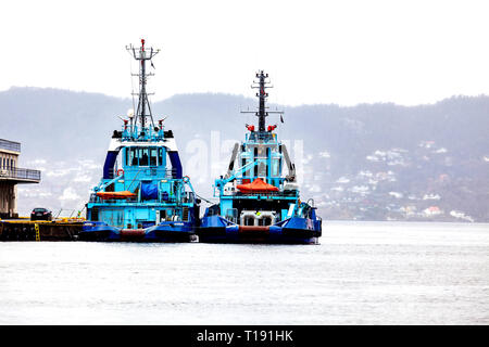 Due barche rimorchiatore vivax e Silex ormeggiato a Tollbodkaien nel porto di Bergen, Norvegia. Un molto piovoso e nebbioso giorno d'inverno. Foto Stock