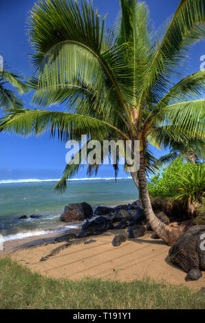 Albero di cocco con piccola spiaggia di sabbia e l'oceano in background Foto Stock