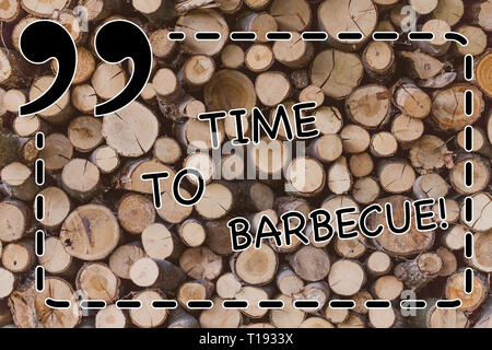 Segno di testo che mostra il tempo di barbecue. Business photo presentazione di relax in cucina a base di carne di maiale il pollo sul grill attività estiva sullo sfondo di legno vintage wo Foto Stock