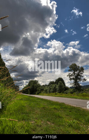 Una sezione vuota del fiume Sammamish sentiero percorso in bicicletta a Redmond Washington Foto Stock