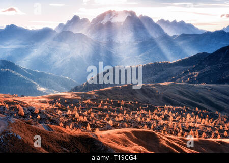 Valle di montagna illuminato con luminosi raggi di sole al tramonto in autunno nelle Dolomiti, Italia. Paesaggio con montagne, colline con alberi di arancio e gr Foto Stock