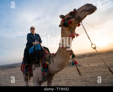 Cavalcare i cammelli vicino le Grandi Piramidi di Giza, Il Cairo, Egitto Foto Stock