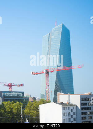 Gru edili e Banca centrale europea edificio. Francoforte, Germania Foto Stock