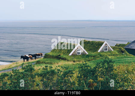 Islanda cavalli e tipica piccola casa in Islanda. Foto Stock