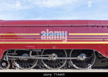LMS Incoronazione Classe 6299 Duchessa di Hamilton snellito locomotiva a vapore presso il National Rail Museum a Shildon, County Durham, Regno Unito Foto Stock