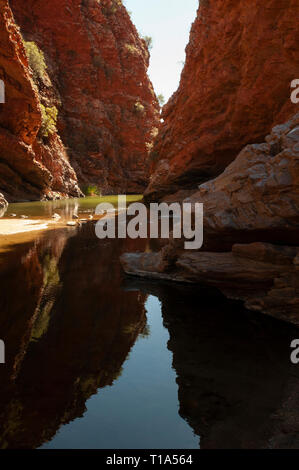 Simpsons Gap, Territorio del Nord, l'Australia Foto Stock