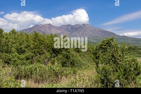 Il cratere del vulcano ha eruttato Sakurajima contemplati dal paesaggio verde. Preso dal punto di osservazione (belvedere). Kagoshima, Kyushu, a sud del Giappone Foto Stock