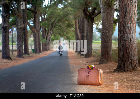 Vecchia valigia e bouquet di fiori di margherite sulla strada. Campagna Foto Stock