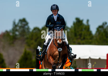 Raeford, North Carolina, Stati Uniti d'America. 24 Mar, 2019. Marzo 24, 2019 - Raeford, N.C., STATI UNITI D'AMERICA - KRISSY SMITH SHELLENBERGER degli Stati Uniti di equitazione MAC LOUGHNATOUSA compete nella formazione divisione Rider Show Jumping al sesto Cloud annuale 11-Gavilan Nord Carolina LLC International CCI e Cavallo, prova a Carolina Horse Park. Il Carolina International CCI e cavallo di prova è uno di America del Nord il premier eventing per competizioni nazionali ed internazionali di combinazioni di eventi, hosting di concorrenza internazionale per la CCI2*-S attraverso il CCI4*-S livelli e i livelli nazionali di formazione attraverso Advan Foto Stock