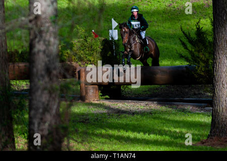 Raeford, North Carolina, Stati Uniti d'America. 24 Mar, 2019. Marzo 24, 2019 - Raeford, N.C., STATI UNITI D'AMERICA - TIM BOURKE dell Irlanda equitazione LENNARD compete nella divisione OP cross country caso in rotta per vincere la divisione al sesto Cloud annuale 11-Gavilan Nord Carolina LLC International CCI e Cavallo, prova a Carolina Horse Park. Il Carolina International CCI e cavallo di prova è uno di America del Nord il premier eventing per competizioni nazionali ed internazionali di combinazioni di eventi, hosting di concorrenza internazionale per la CCI2*-S attraverso il CCI4*-S livelli e i livelli nazionali di formazione attraverso avanzate. C Foto Stock