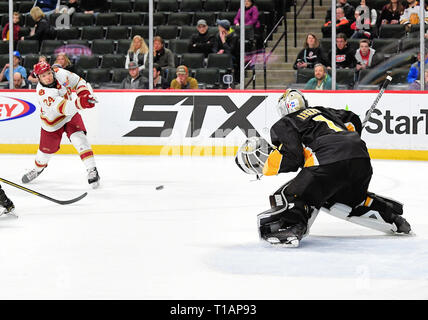 Marzo 23, 2019 Denver pionieri in avanti Colin Staub (24) germogli su Colorado College Tigers goaltender Alex Leclerc (1) durante la NCHC congelati Faceoff terzo posto gioco tra il Colorado College Le tigri e i pionieri di Denver all'Xcel Energy Center, St. Paul, MN. La sconfitta di Denver Colorado College 6-1. Foto di Russell Hons/CSM Foto Stock