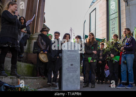 Marzo 24, 2019 - righton, Regno Unito 24 marzo 2019. Manifestanti marzo attraverso il centro della città di Brighton tenendo un corteo funebre per la vita sulla terra. La manifestazione è stata organizzata dal ramo di Brighton di estinzione della ribellione, che è un movimento nazionale di lotta contro il cambiamento climatico e la sensibilizzazione di estinzione delle specie dal luogo di della temperatura terrestre. Il gruppo ritiene che il cambiamento climatico è una inedita emergenza globale che devono essere affrontate prima che diventi troppo tardi. La bara è stata condotta durante la processione come promemoria del mortale gli effetti dei cambiamenti climatici sulla wi Foto Stock