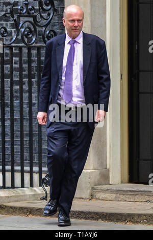 Londra, Regno Unito. 25 Mar, 2019. Chris temolo, Segretario dei trasporti lasciando Downing Street a seguito di una riunione del gabinetto. Credito: claire doherty/Alamy Live News Foto Stock