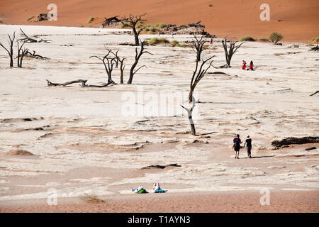 I turisti a piedi in Dead Vlei tra i morti acacias, presa su 01.03.2019. Il Dead Vlei è a secco, circondato da alte dune pan di argilla con numerosi morti di alberi di acacia nel Namib Naukluft National Park vicino al Sossusvlei. Questi alberi morti sono fino a 500 anni e creare una surreale impressione complessiva dello scenario di fronte al visitatore. Foto: Matthias Toedt / dpa-Zentralbild / ZB / Picture Alliance | Utilizzo di tutto il mondo Foto Stock