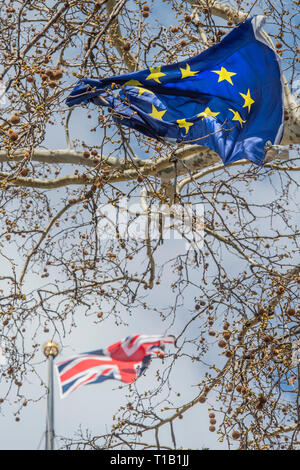 Londra, Regno Unito. 25 mar 2019. Un strappata la bandiera dell'UE è bloccato in alberi sotto la Union Jack sul House of Lords - Lasciare significa lasciare e SODEM, pro UE, i manifestanti continuano a fare i loro punti, affiancate al di fuori del Parlamento dopo un weekend difficile che ha visto pochi progressi su qualsiasi trattativa. Credito: Guy Bell/Alamy Live News Foto Stock
