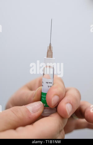 Hannover, Germania. 28 Feb, 2019. Un medico assistente in un ambulatorio medico è in possesso di una siringa contenente il vaccino Rabipur per proteggere contro la rabbia. Credit: Ole Spata/dpa/Alamy Live News Foto Stock