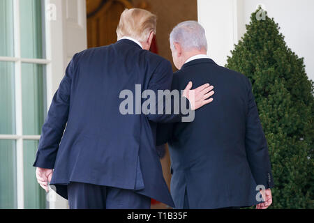 Washington, Stati Uniti d'America. 25 Mar, 2019. Stati Uniti Presidente Donald Trump (L) incontra il Primo Ministro israeliano Benjamin Netanyahu alla Casa Bianca di Washington, DC, Stati Uniti, il 25 marzo 2019. Stati Uniti Presidente Donald Trump lunedì ha firmato un annuncio riconoscendo Israele la sovranità su il contestato Golan, territorio che Israele sequestrati dalla Siria nel 1967. Credito: Ting Shen/Xinhua/Alamy Live News Foto Stock