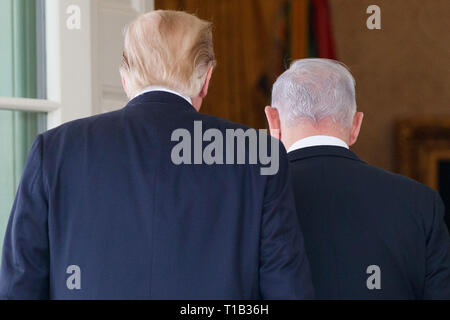 Washington, Stati Uniti d'America. 25 Mar, 2019. Stati Uniti Presidente Donald Trump (L) incontra il Primo Ministro israeliano Benjamin Netanyahu alla Casa Bianca di Washington, DC, Stati Uniti, il 25 marzo 2019. Stati Uniti Presidente Donald Trump lunedì ha firmato un annuncio riconoscendo Israele la sovranità su il contestato Golan, territorio che Israele sequestrati dalla Siria nel 1967. Credito: Ting Shen/Xinhua/Alamy Live News Foto Stock