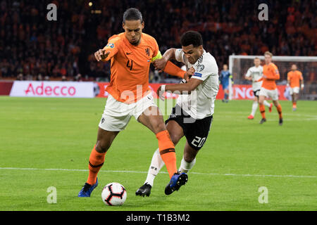 Virgilio VAN DIJK (sinistra, NED) versus Serge GNABRY (GER), azione, duelli, calcio Laender corrispondono al Campionato Europeo di qualificazione, gruppo C, Paesi Bassi (NED) - Germania (GER) 2: 3, su 24.03.2019 in Johan Cruyff Arena di Amsterdam/Paesi Bassi. ## DFB/regolamenti UEFA vietare qualsiasi uso di fotografie come sequenze di immagini e/o quasi-video ## € | Utilizzo di tutto il mondo Foto Stock