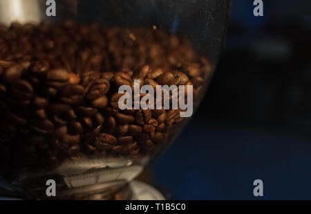 Nel macinino, ci sono un sacco di caffè in grani, sfondo nero, focus, i chicchi di caffè Foto Stock