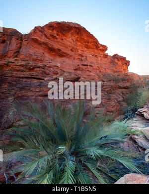 Kings Canyon Foto Stock