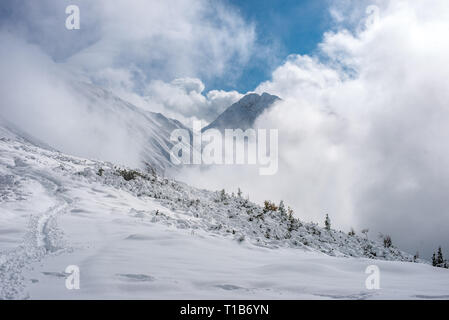 Coperte di neve percorsi turistici in Slovacchia tatra. misty giornata invernale con neve pesante sui picchi, sentiero stretto Foto Stock