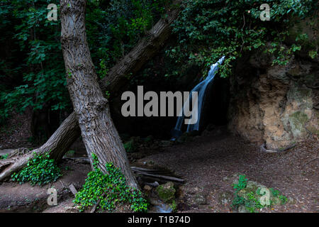 La cascata nel bosco in un pallido (Umbria, Italia) Foto Stock