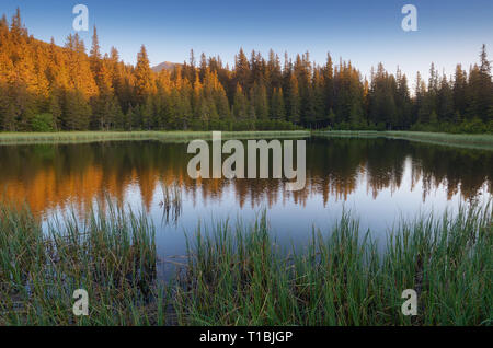 Paesaggio di mattina con il lago in una foresta di montagna. I primi raggi del sole tra gli alberi. Lago Maricheyka, montagne dei Carpazi, Ucraina Foto Stock