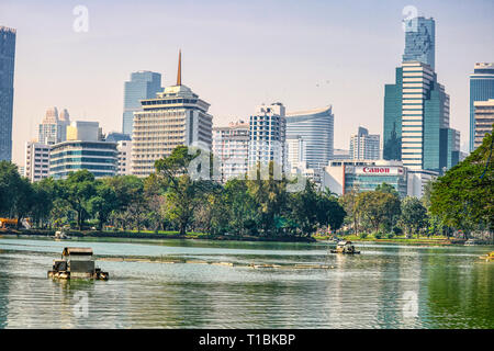 Questa unica immagine mostra in primo piano il Lumpini Park a Bangkok. Sullo sfondo è possibile vedere lo skyline di Bangkok. L'oasi verde di bangko Foto Stock