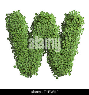 Trifoglio - lettera W - Lettere maiuscole 3d molla font isolati su sfondo bianco. Questo alfabeto è la soluzione ideale per creative illustrazioni correlate ma non limitati t Foto Stock