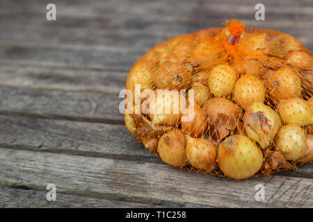 Cipolla piccola in una pezza di rete di plastica Sacchi,preparato per piantare in giardino su di un tavolo di legno. Foto Stock