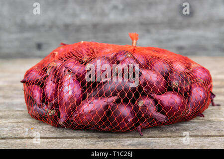 Cipolla rossa piccola in una pezza di rete di plastica Sacchi,preparato per piantare in giardino su di un tavolo di legno. Foto Stock