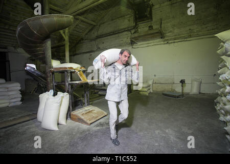 Il tema è una fabbrica di lavoro. Un uomo caucasico porta sacchetti pesanti di prodotti finiti in una vecchia fabbrica. Lavoro fisico in produzione nel post-così Foto Stock