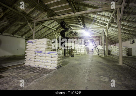 Il tema della produzione e della trasformazione. Meccanismi alla old low-tech impianto per la produzione di granella. Tempi di fabbrica dell'Unione Sovietica. Trasporti Foto Stock