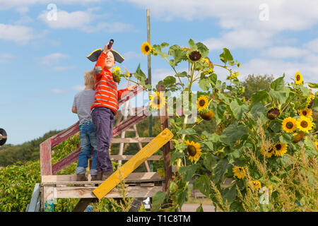 Bambini che giocano i pirati in giardini urbani a Tempelhofer campo, una volta aeroporto, ora un parco pubblico a Berlino, Germania Foto Stock
