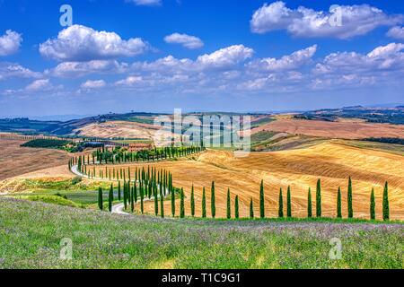 Toscana, Italia - Luglio 5, 2018: cipressi e prato con tipica casa toscana, Val d'Orcia, Italia - Toscana Foto Stock