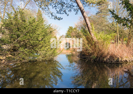 Sole primaverile in Cannon Hill Park Ubicato nella zona di Edgbaston, Birmingham Foto Stock