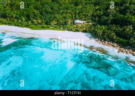 Antenna fuco foto del grande sogno tropicale spiaggia di Anse Bazarca, Isola di Mahe, Seychelles. Con sabbia finissima, acqua azzurra, vegetazione lussureggiante, granito Foto Stock