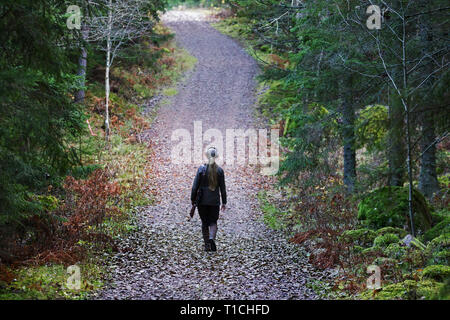 20151111 MJÖBY cacciatore femmina nella foresta. Foto Jeppe Gustafsson Foto Stock