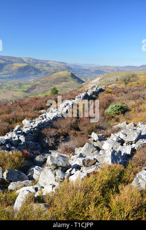 Panorama a piedi sulla montagna Eglwyseg nei primi giorni di sole primaverile, Llangollen Foto Stock