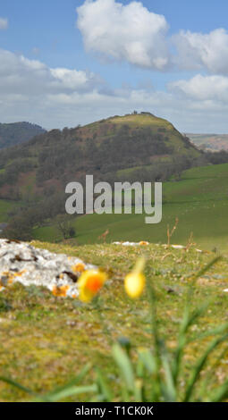 Panorama a piedi sulla montagna Eglwyseg nei primi giorni di sole primaverile, Llangollen Foto Stock