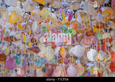 Raccolta di diverse conchiglie colorate come sfondo. Foto Stock