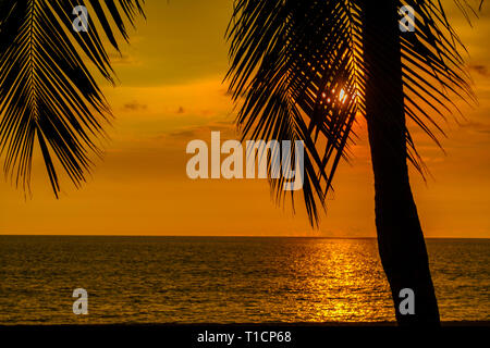 Tramonto colorato di colore arancione del cielo con le palme da cocco albero su sfondo. I fasci di luce attraverso le foglie. Foto Stock
