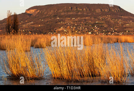 Tramonto sul lago Balaton, Ungheria Foto Stock