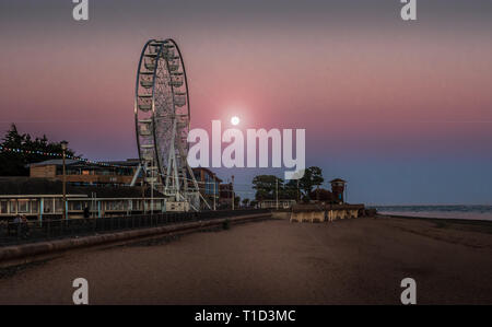 Exmouth beach a metà estate - illuminata dalla luna. Foto Stock