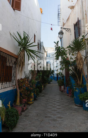 Panorama della città costiera di Asilah, Marocco. Foto Stock