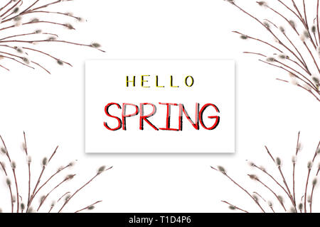 Carta vacanze con testo Ciao molla. Fioritura i rami di salici su sfondo bianco Foto Stock